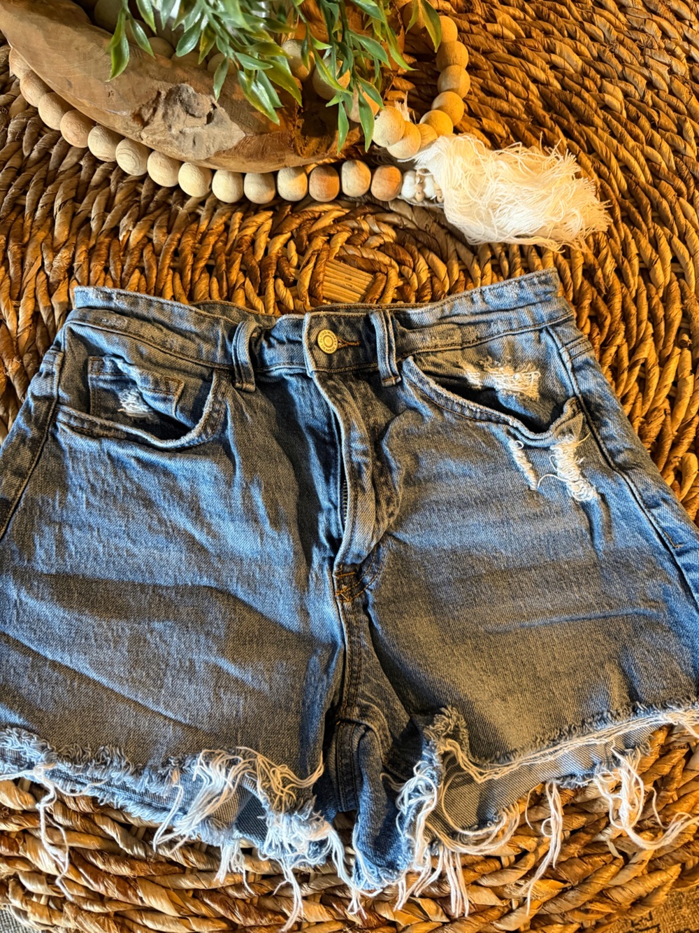 Flying Monkey Distressed Denim Shorts in Blue